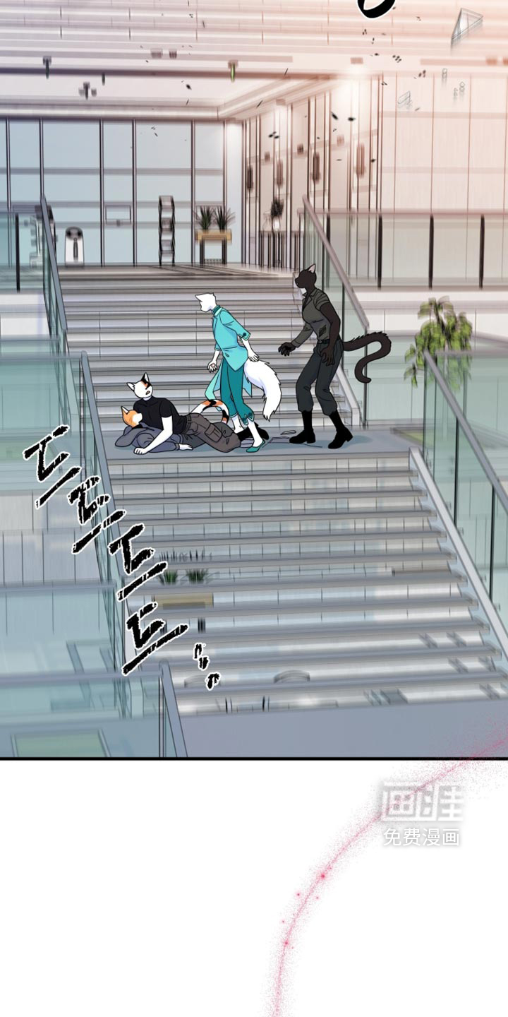 第213话5