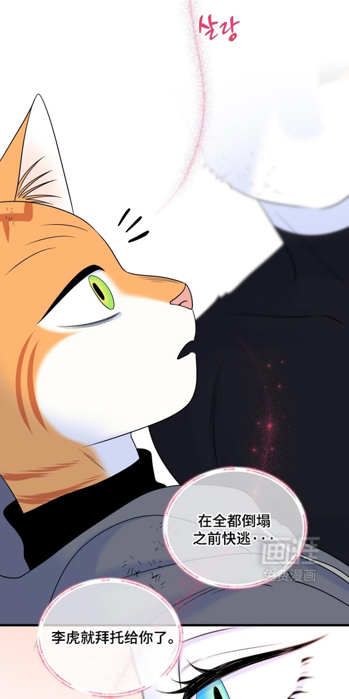第213话6