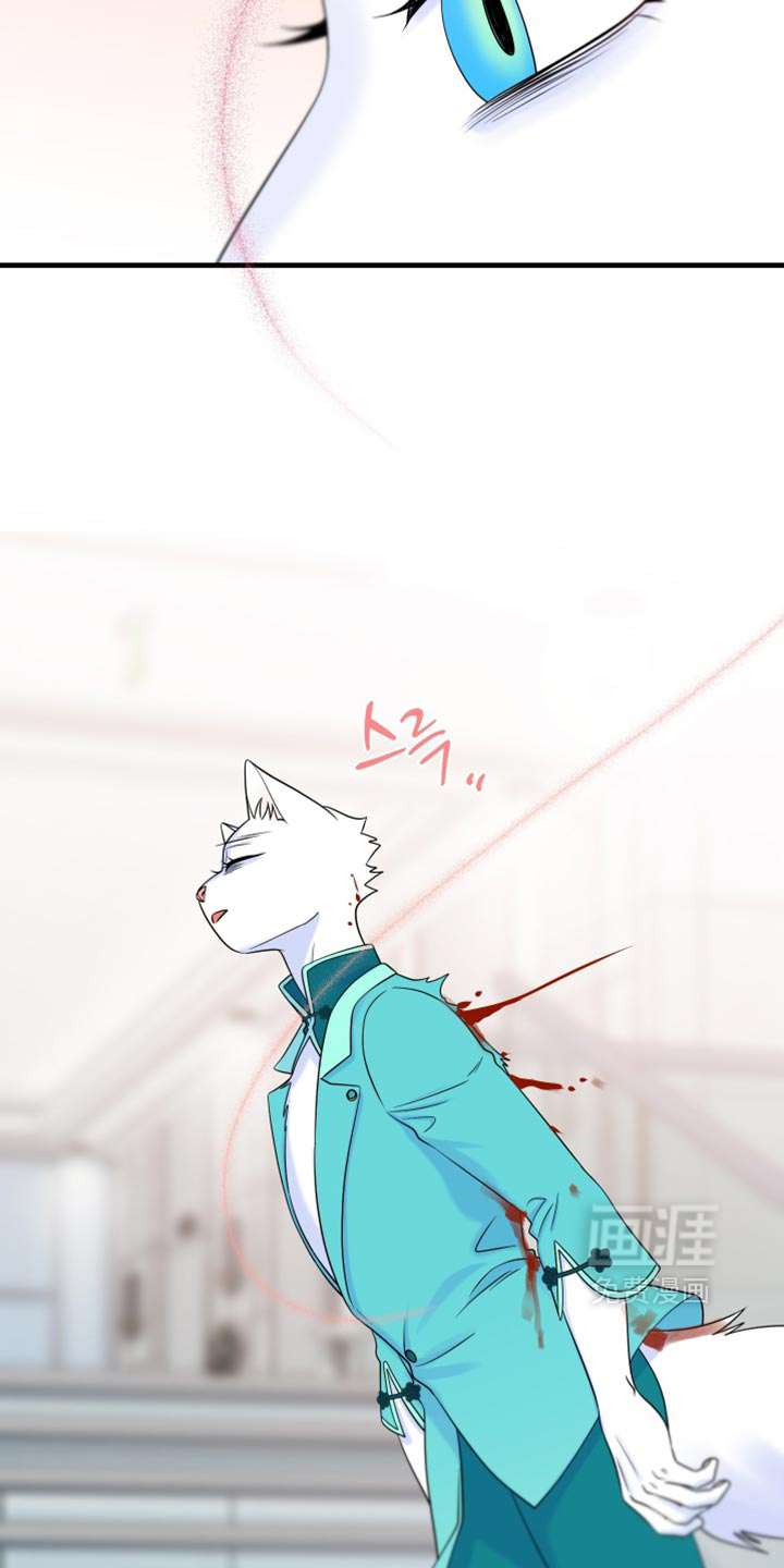 第213话7