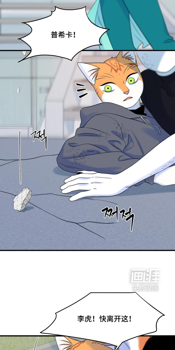 第213话8