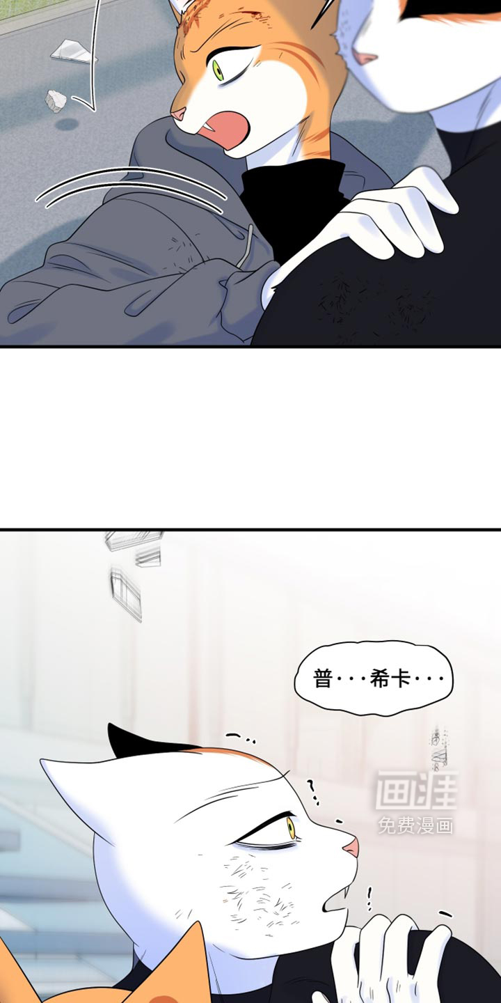 第213话9