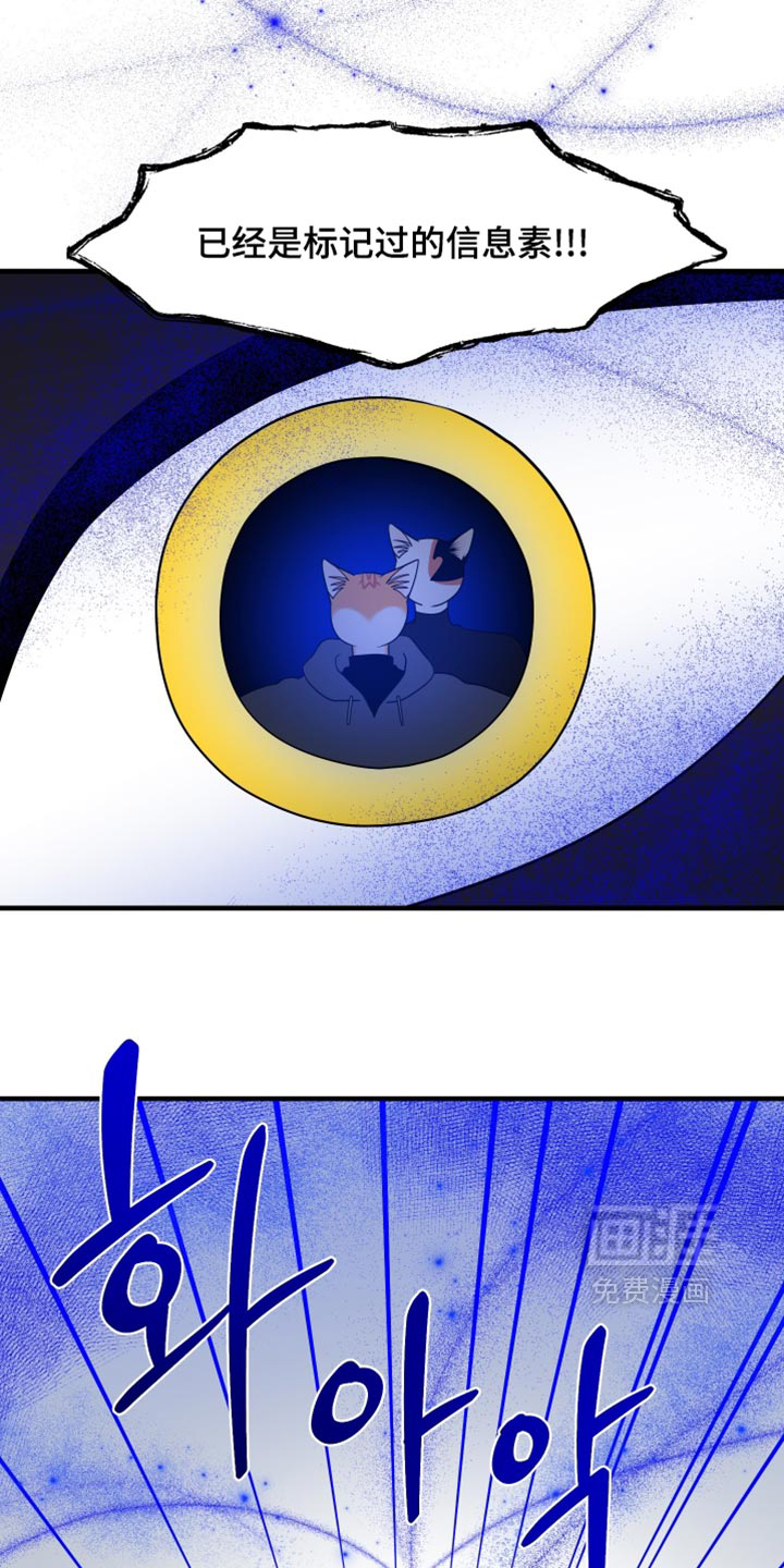 第211话0