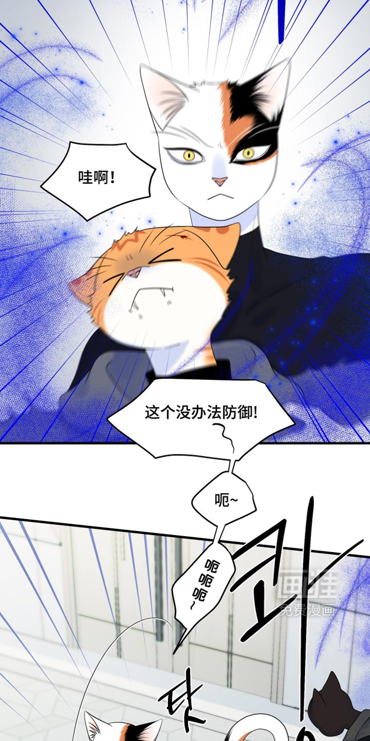 第211话1