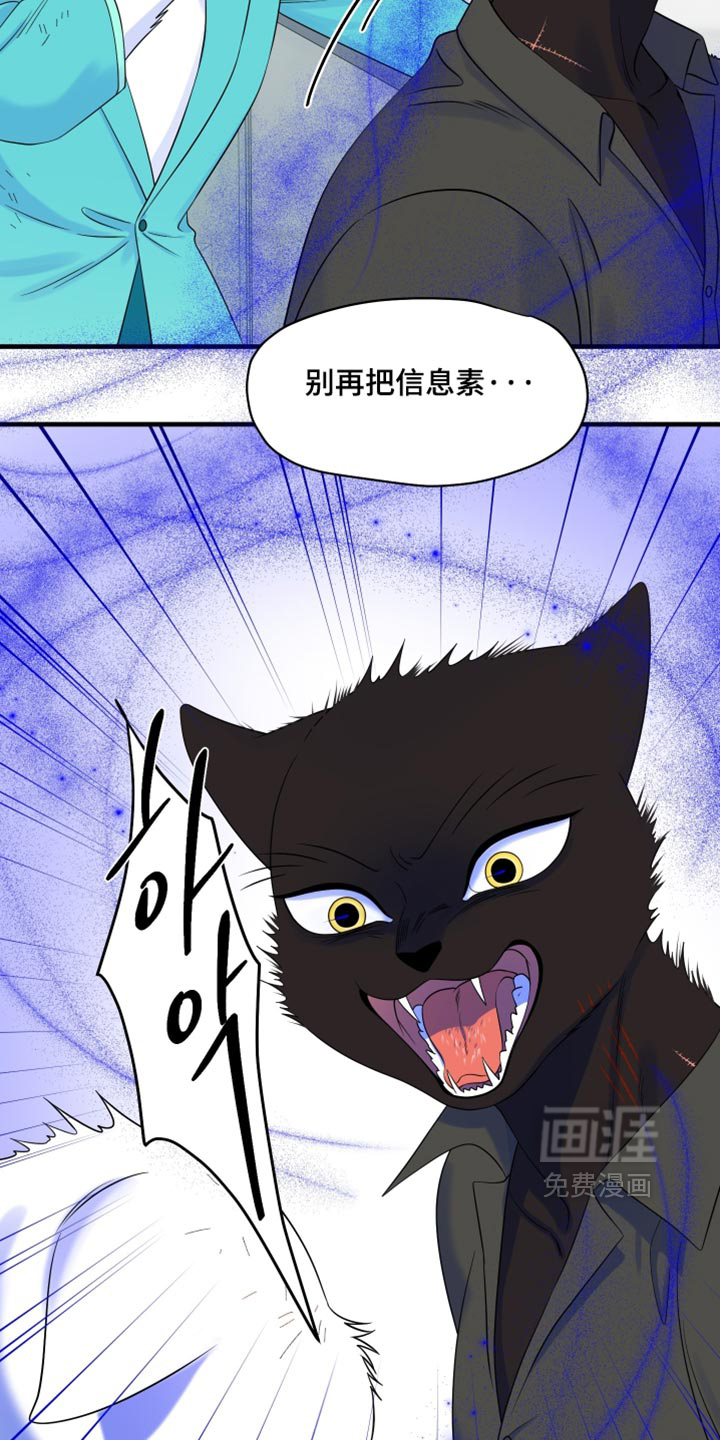 第211话13