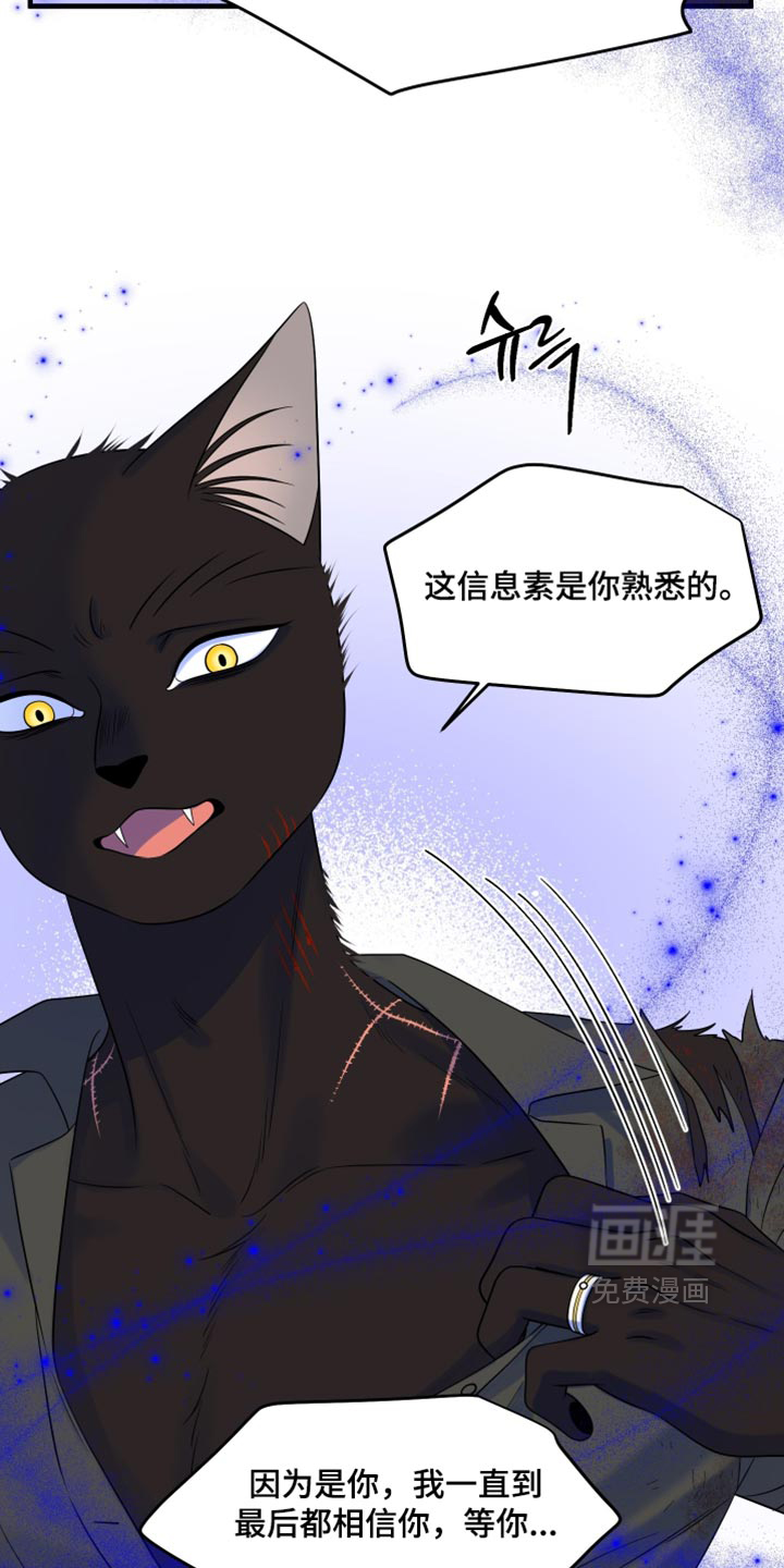 第211话16