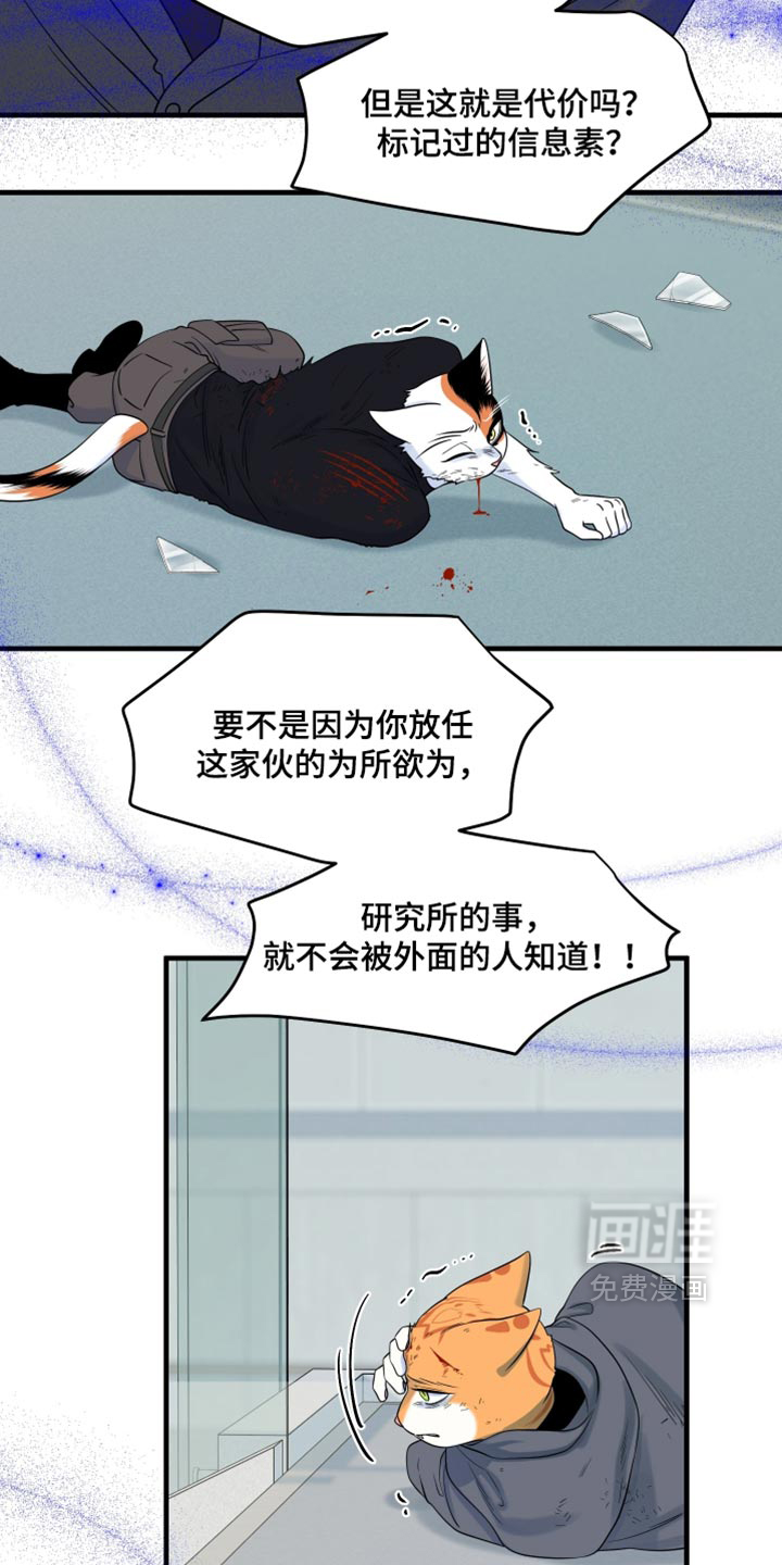 第211话17