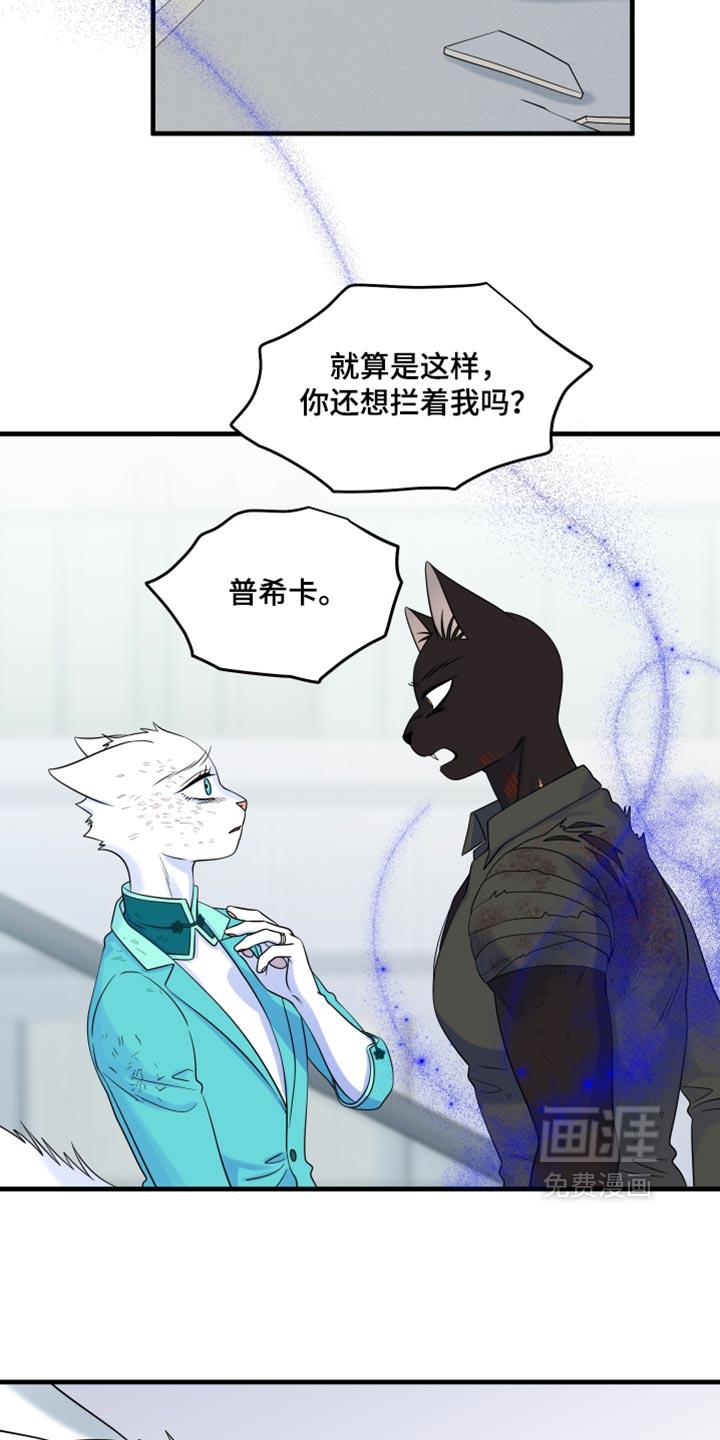 第211话18