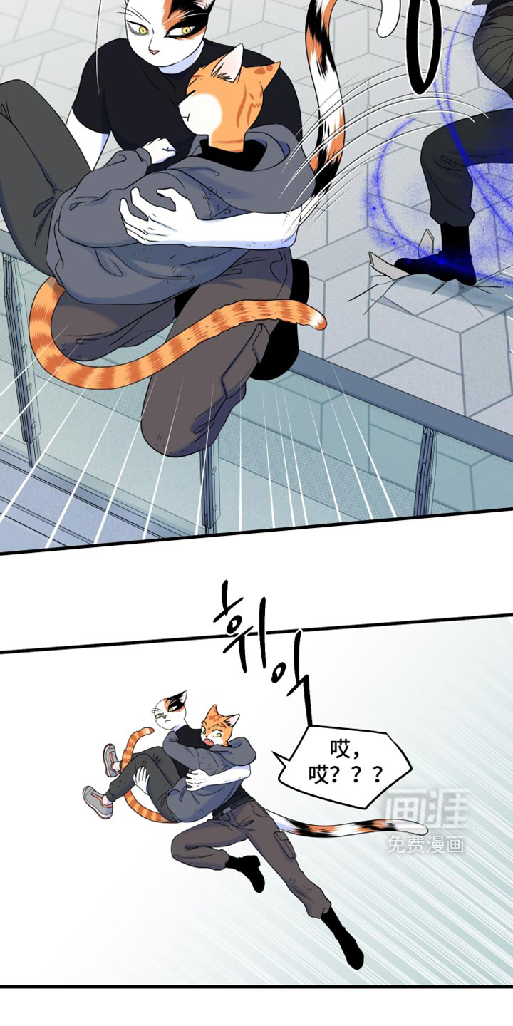 第211话2