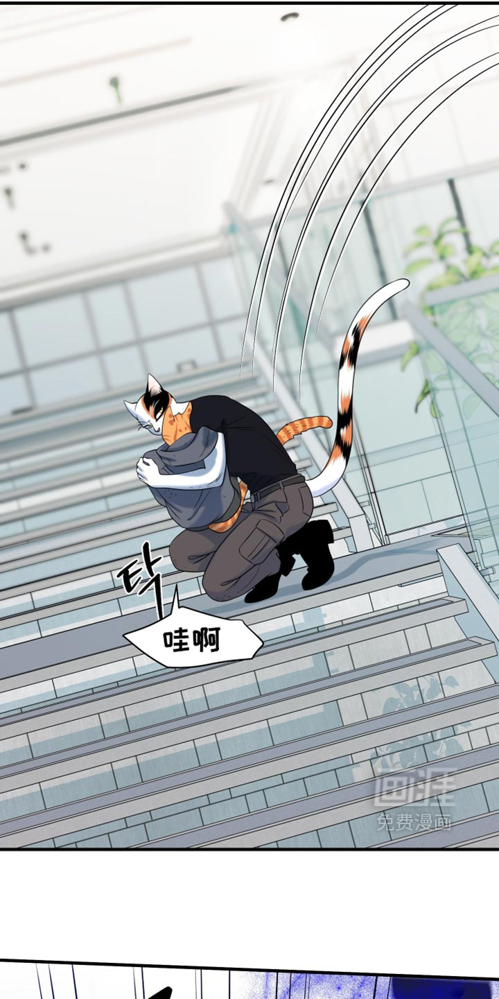 第211话3