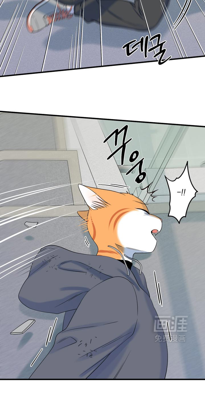 第211话5