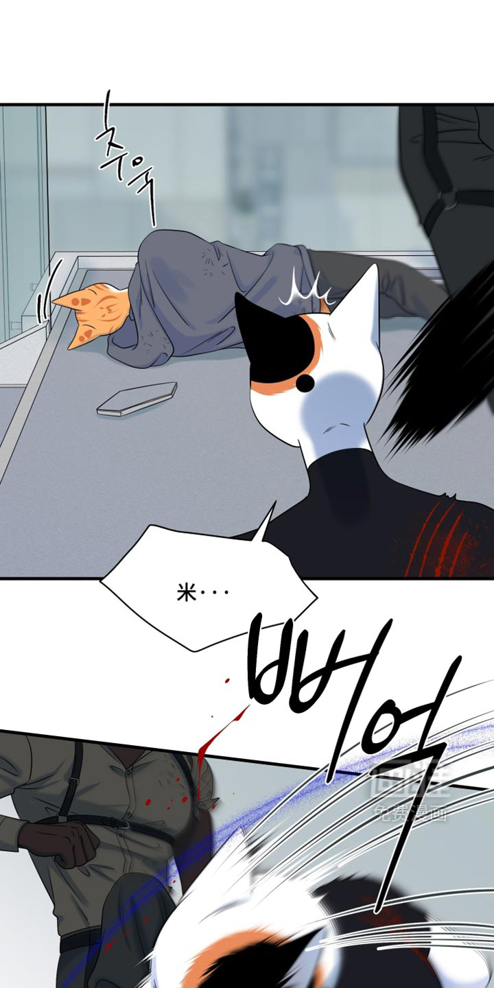 第211话6