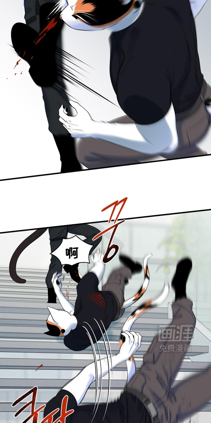 第211话7