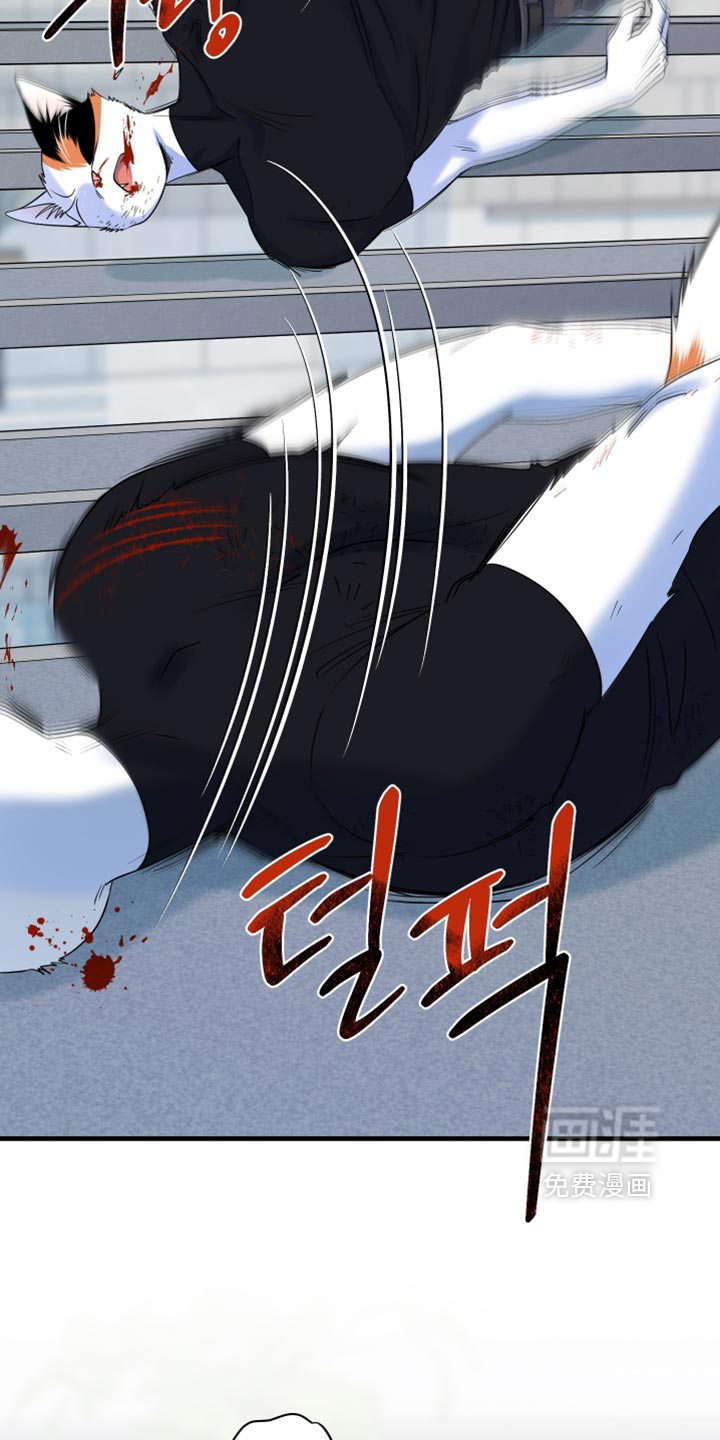 第211话8