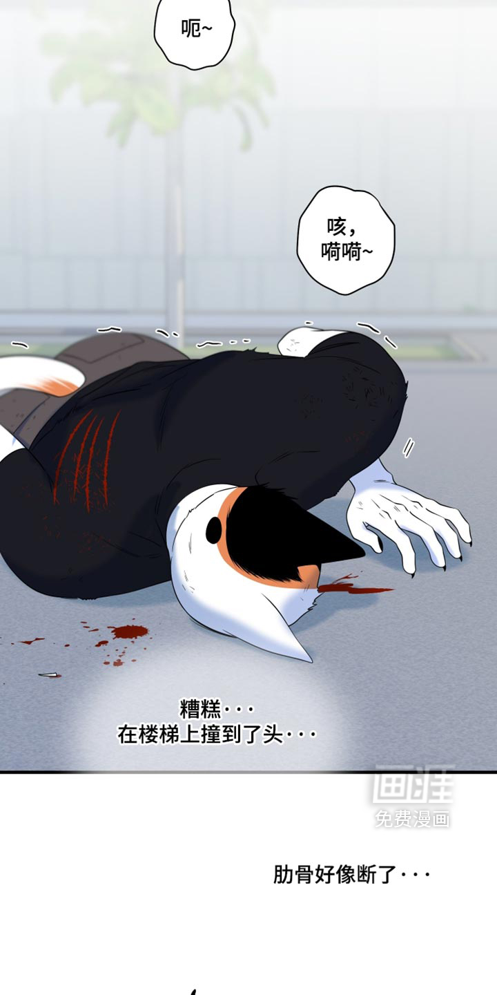 第211话9