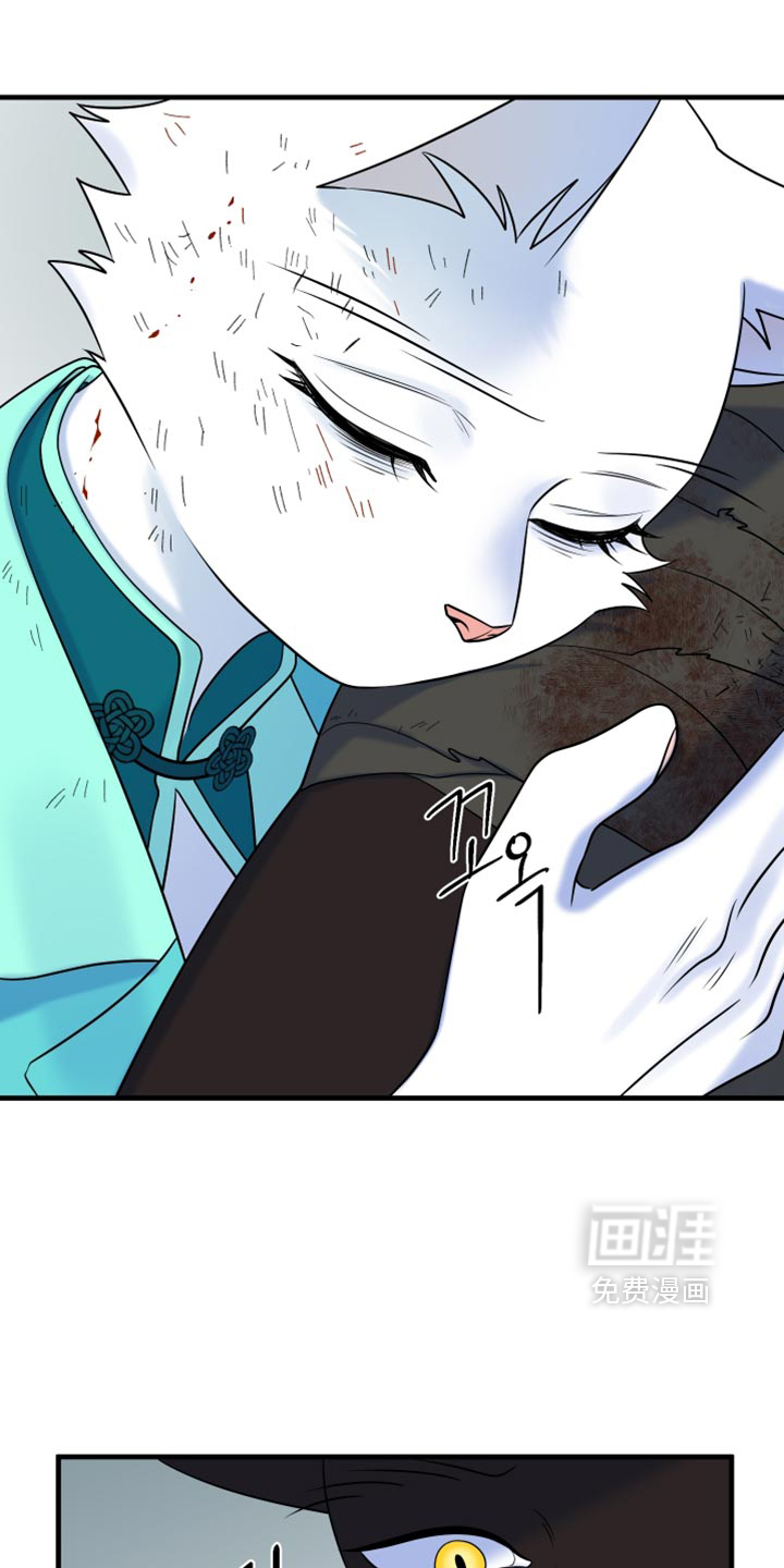 第214话12