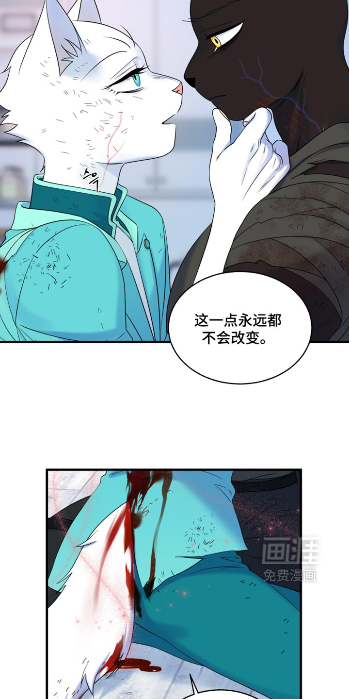 第214话19