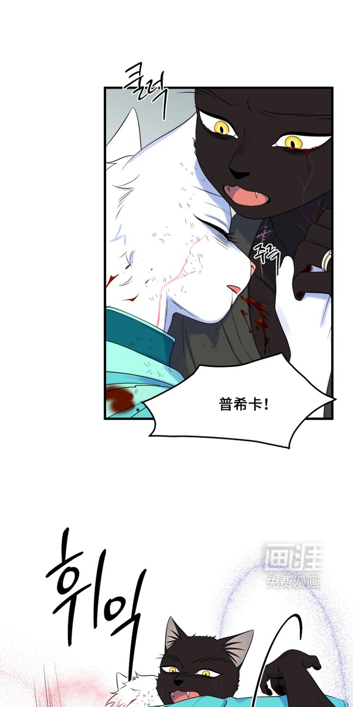 第214话21