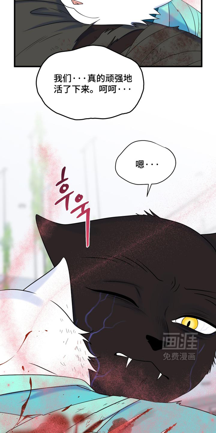 第214话26