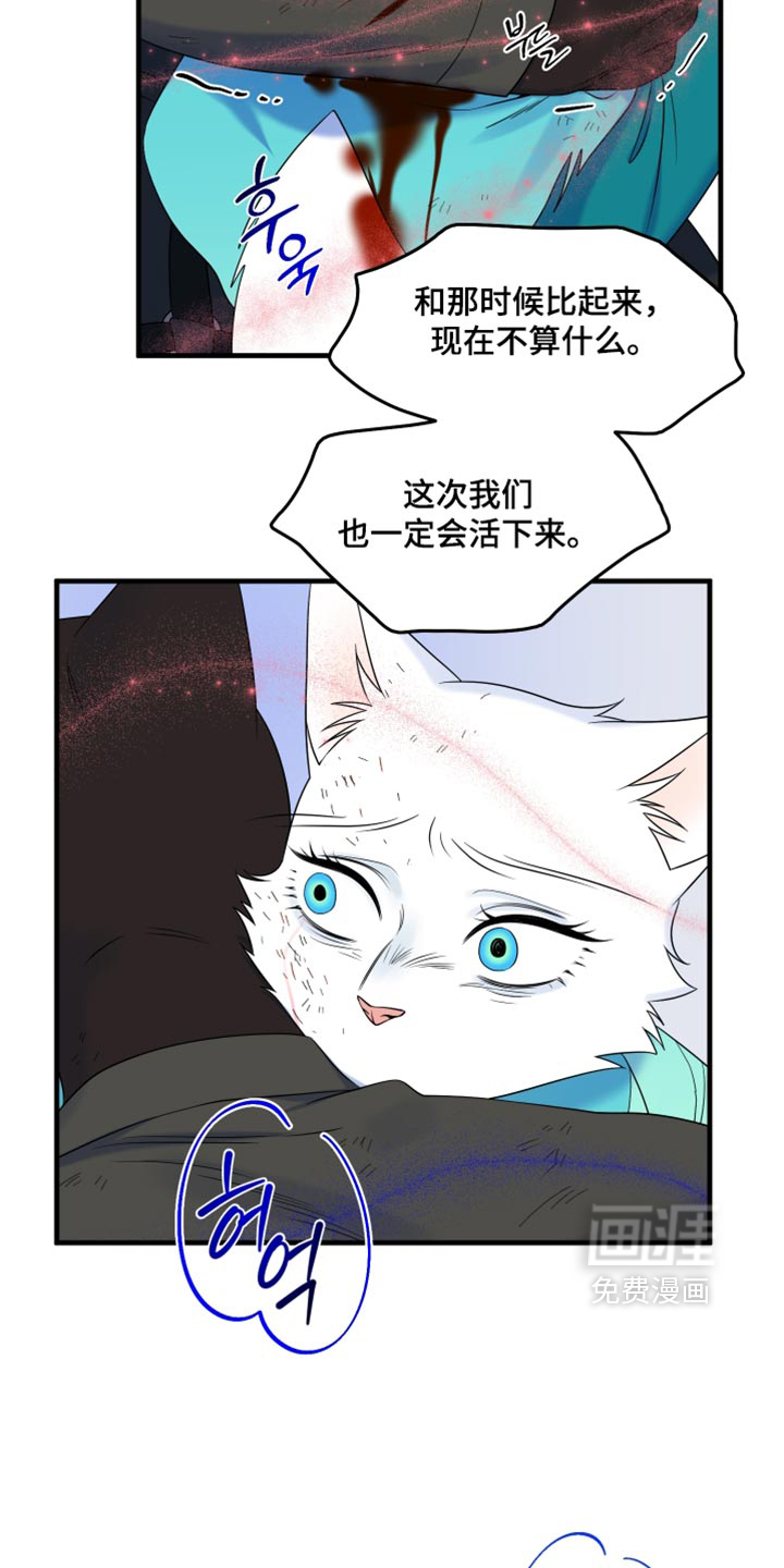 第214话34