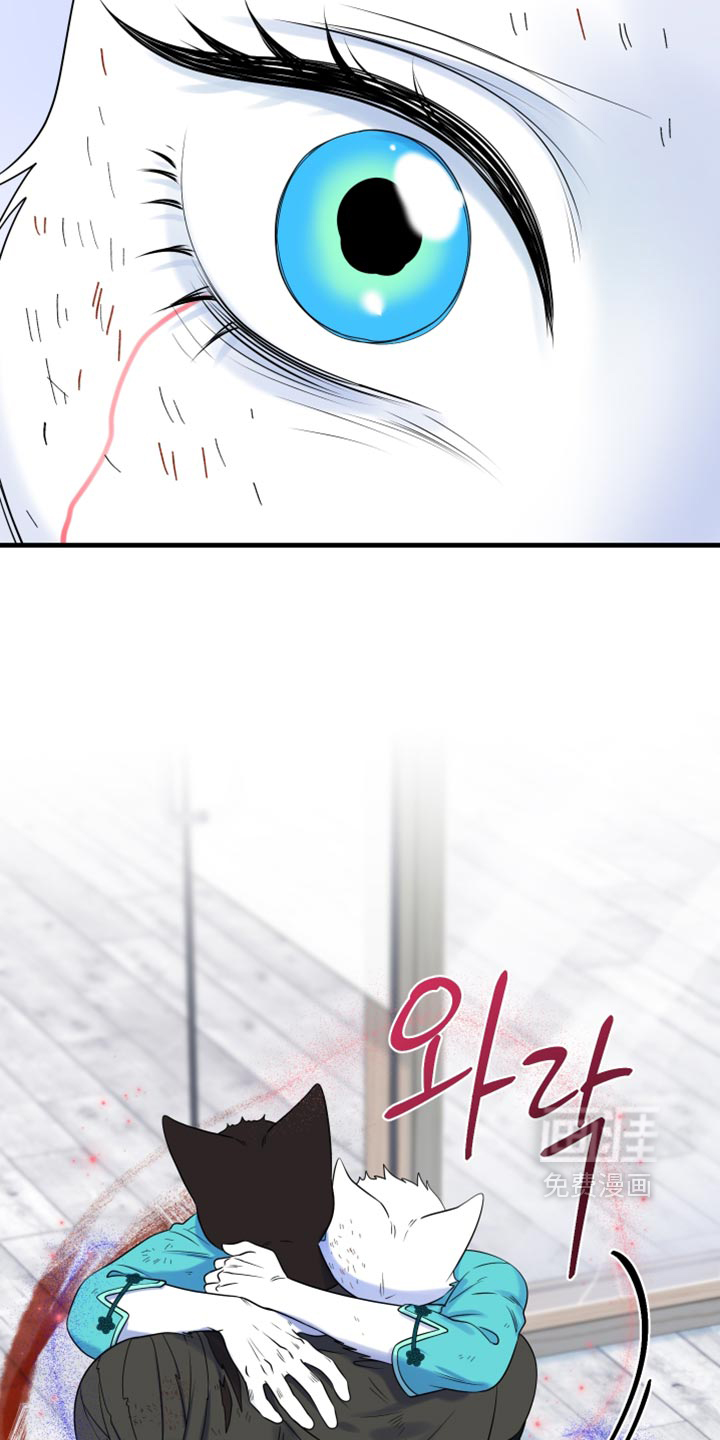 第214话36
