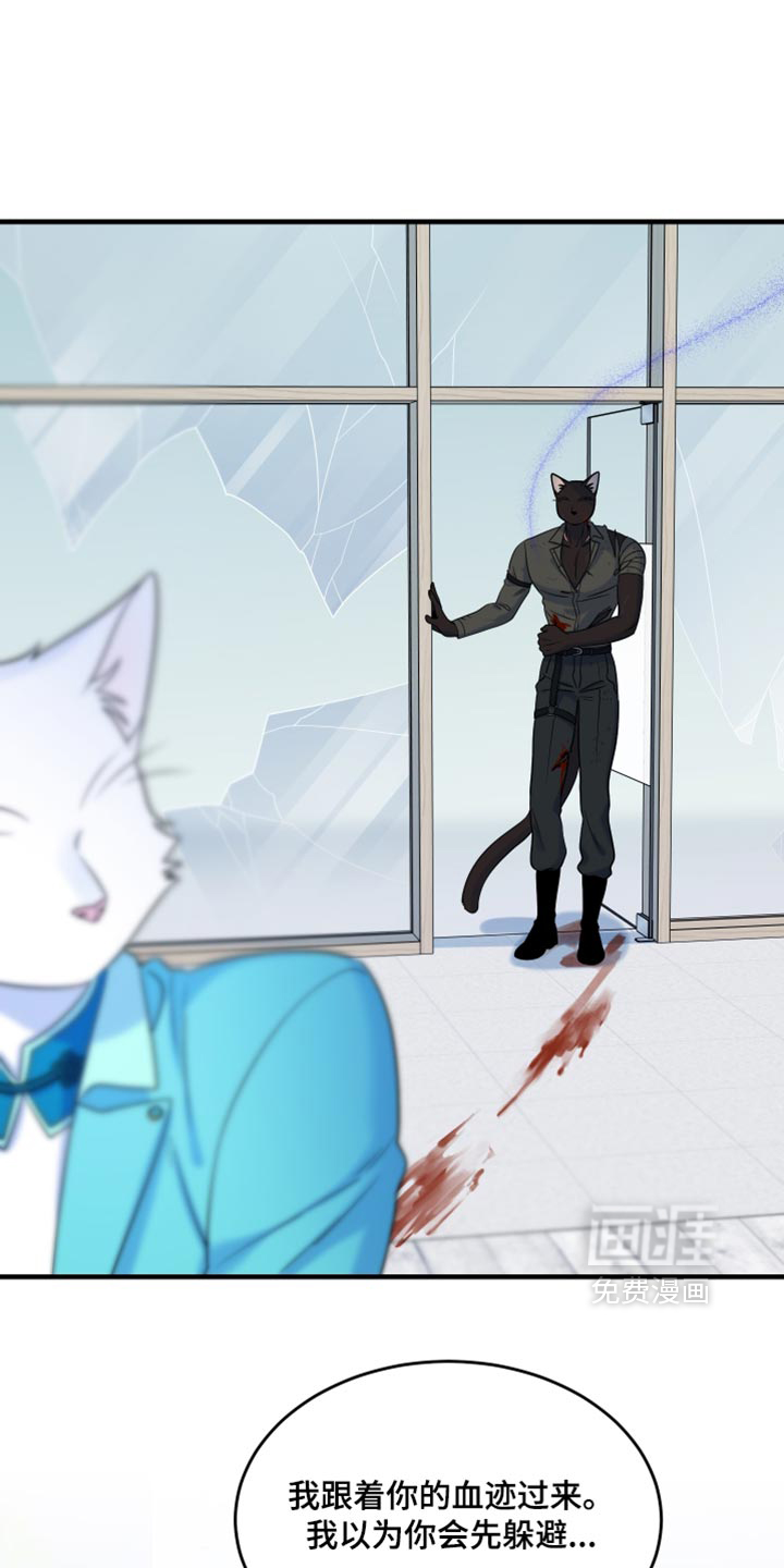 第214话6