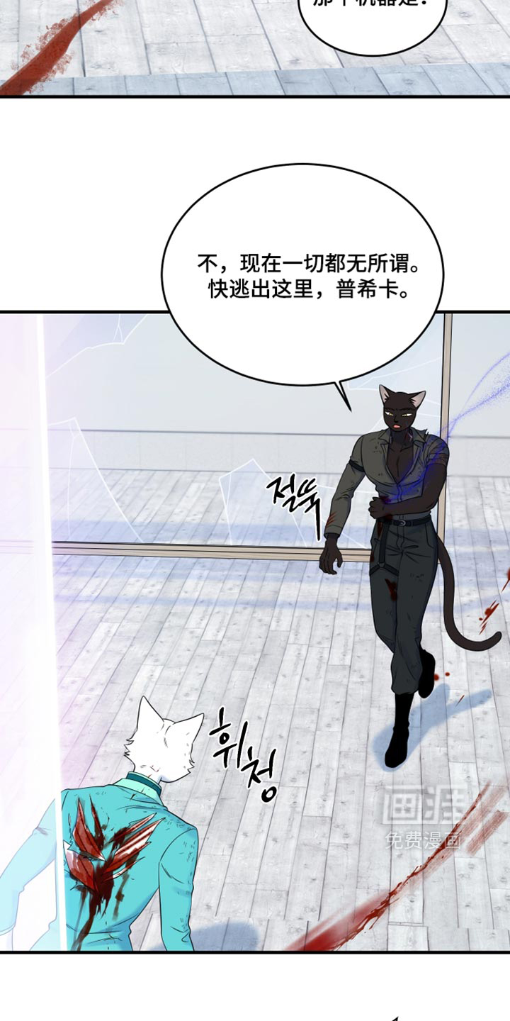 第214话8