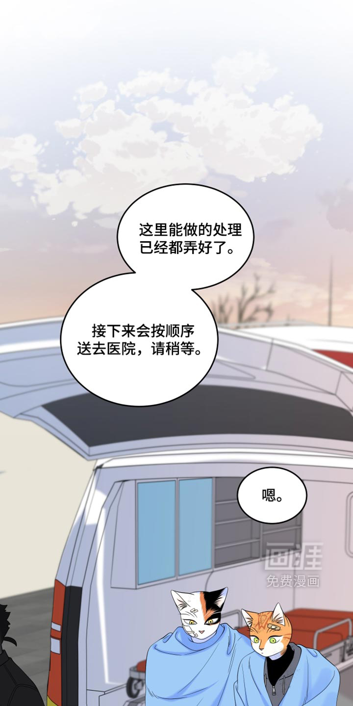 第217话0