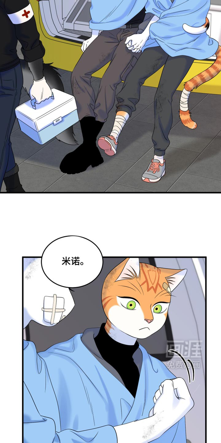 第217话1