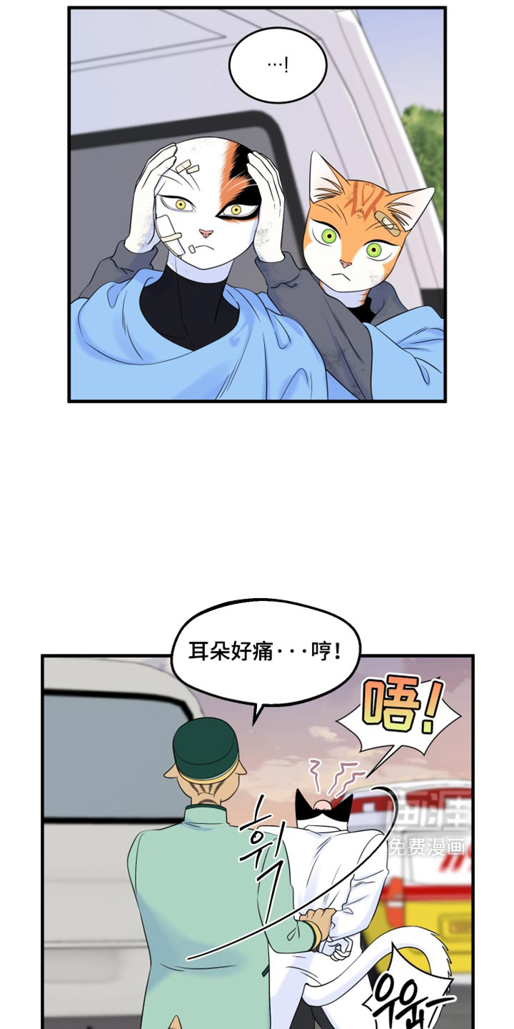 第217话10
