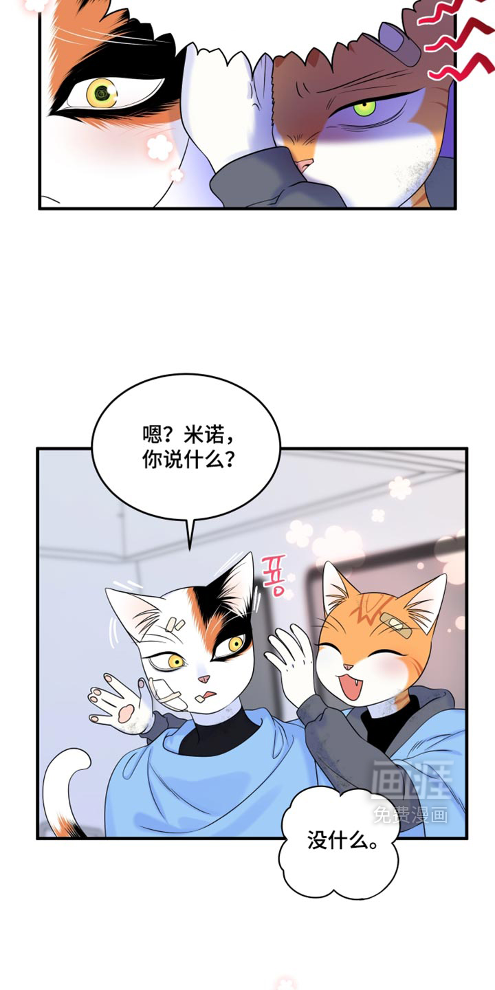 第217话13