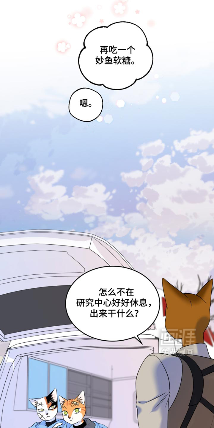 第217话14