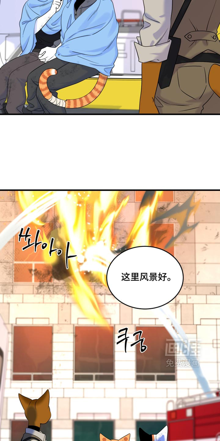 第217话15