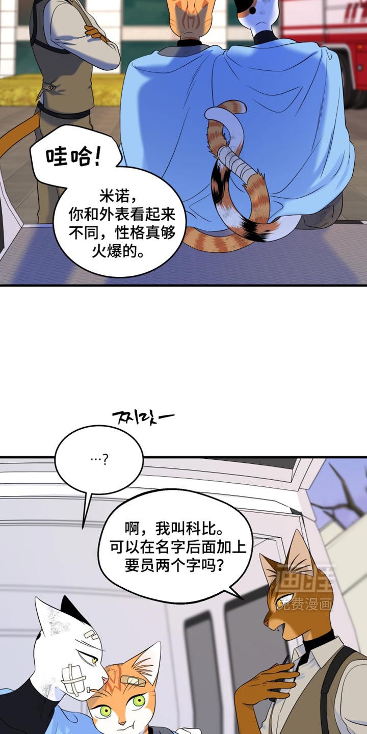 第217话16
