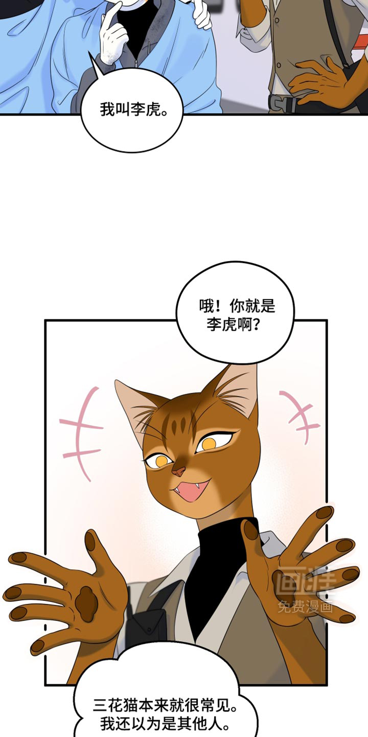 第217话17