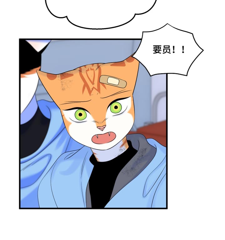 第217话18
