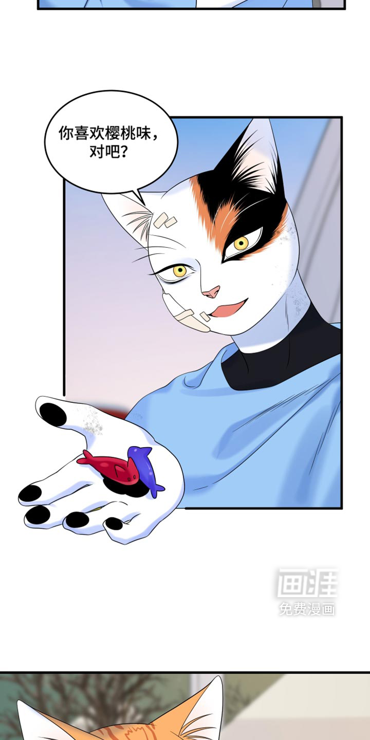 第217话2