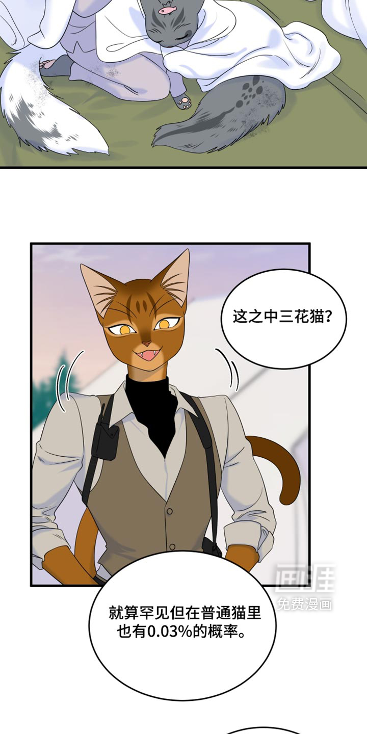 第217话21