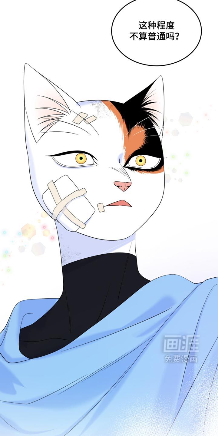 第217话22
