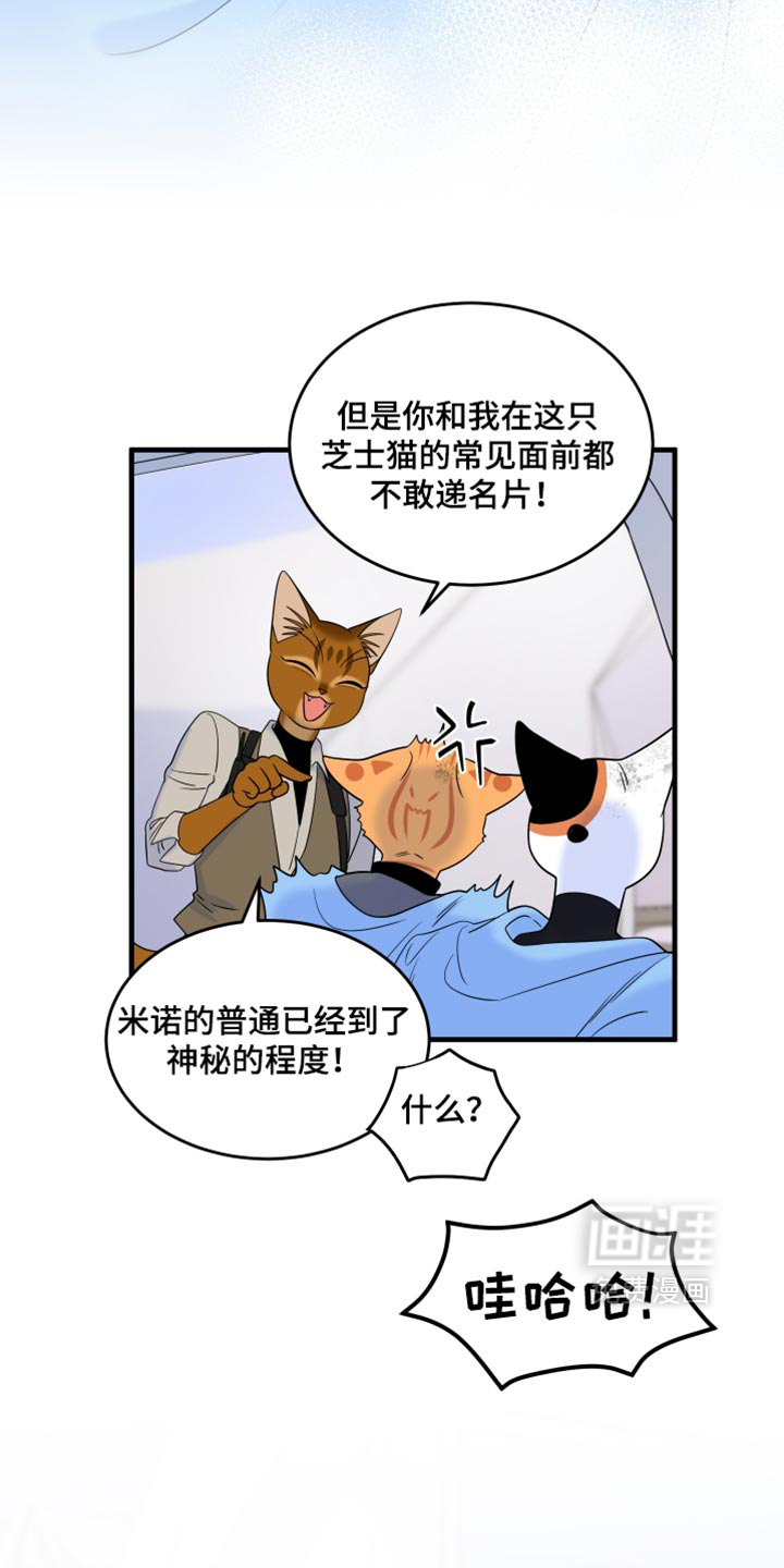 第217话23