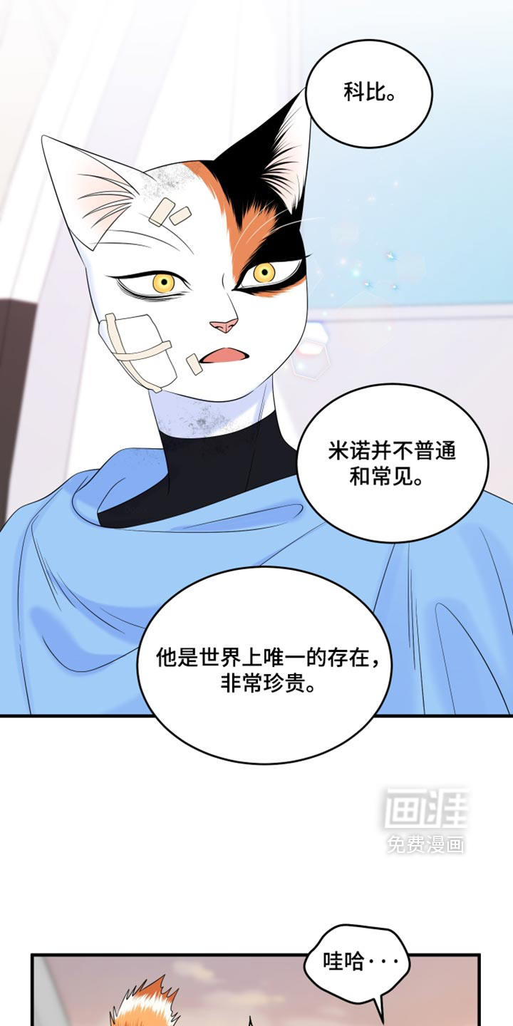 第217话24