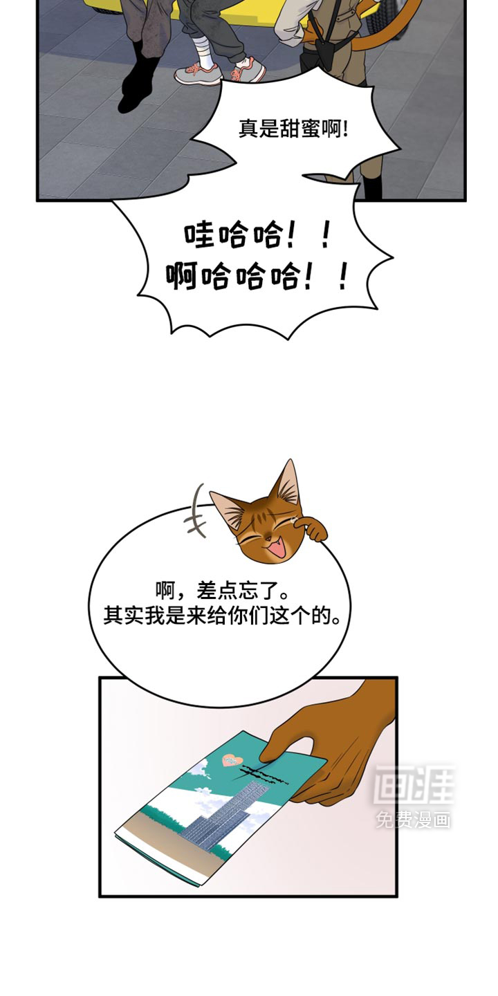 第217话26