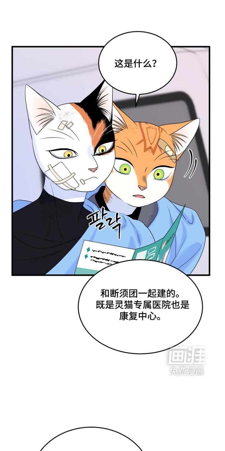 第217话27