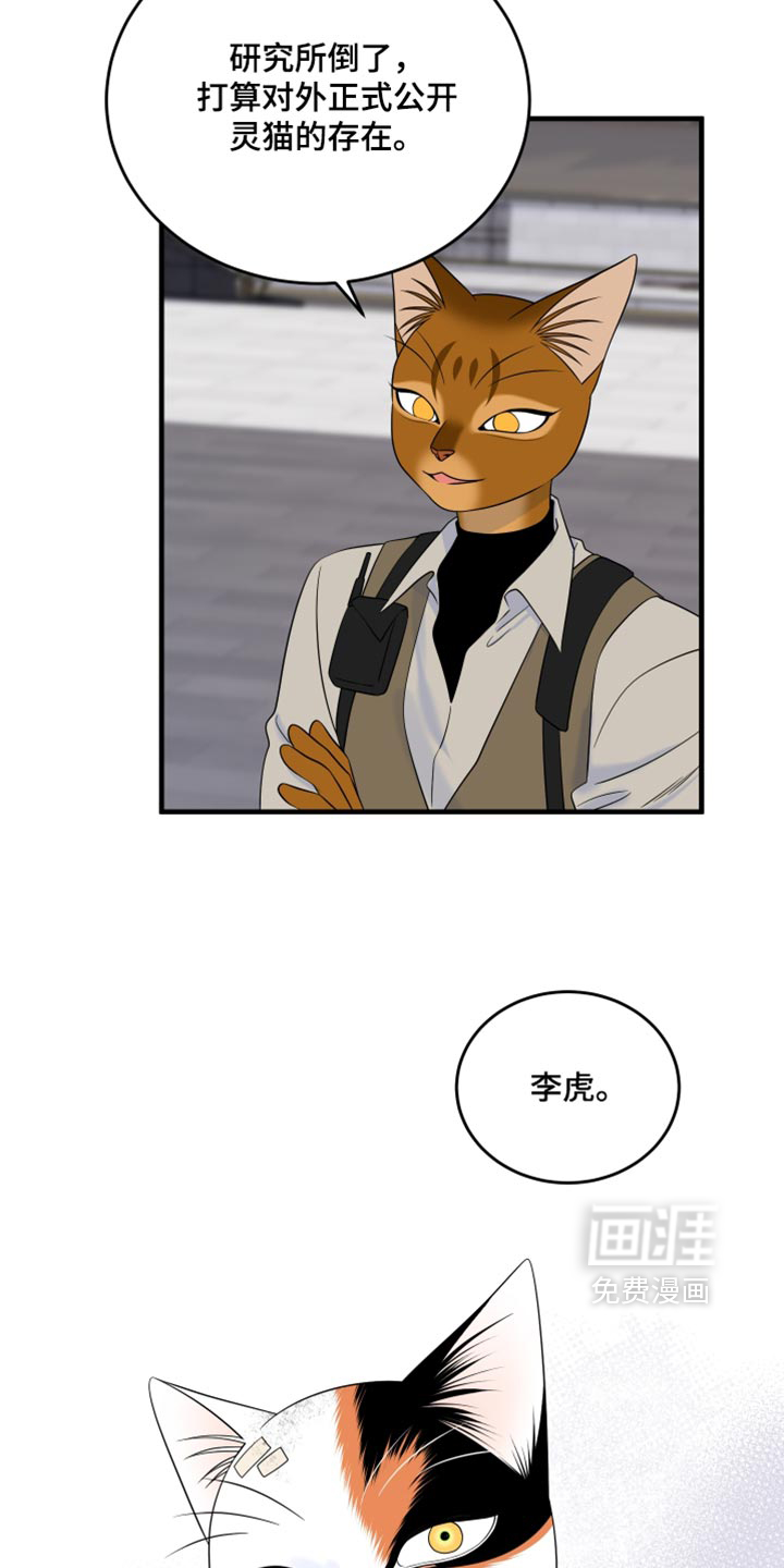 第217话28