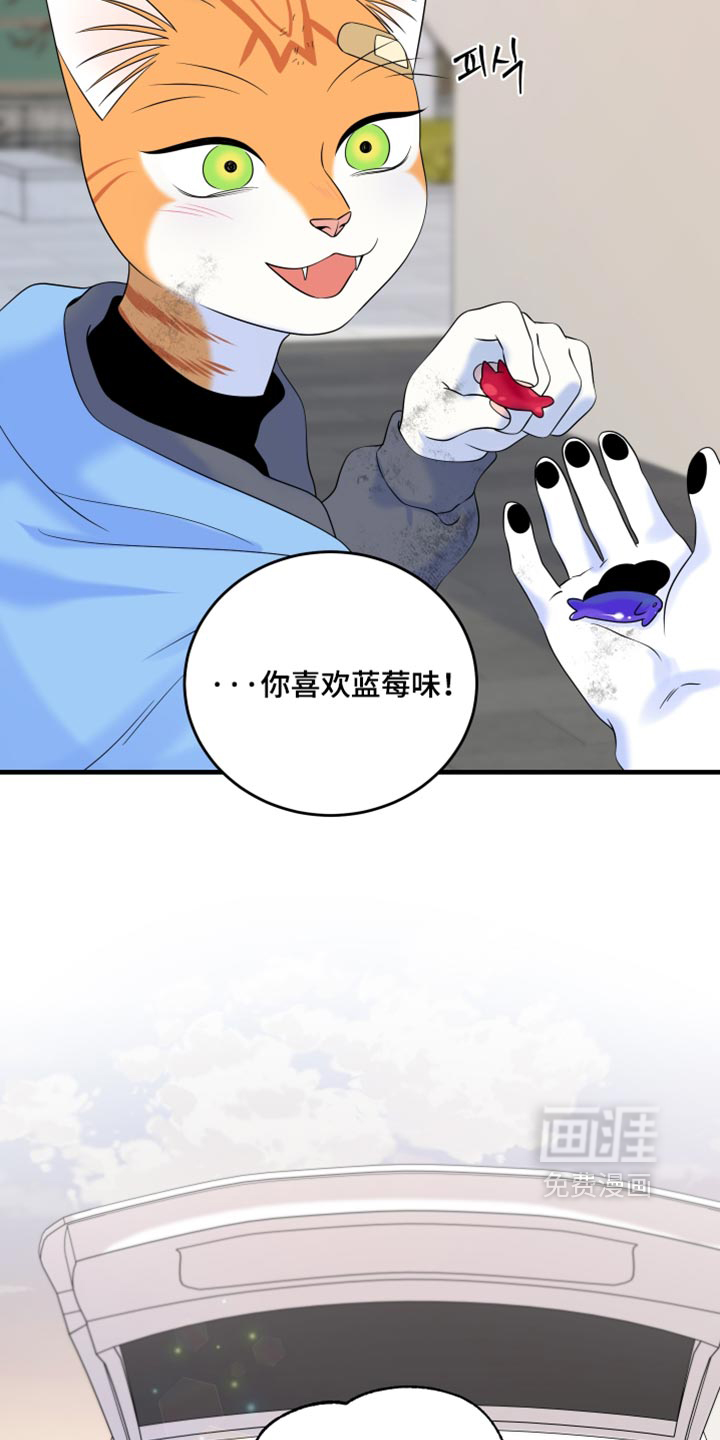 第217话3