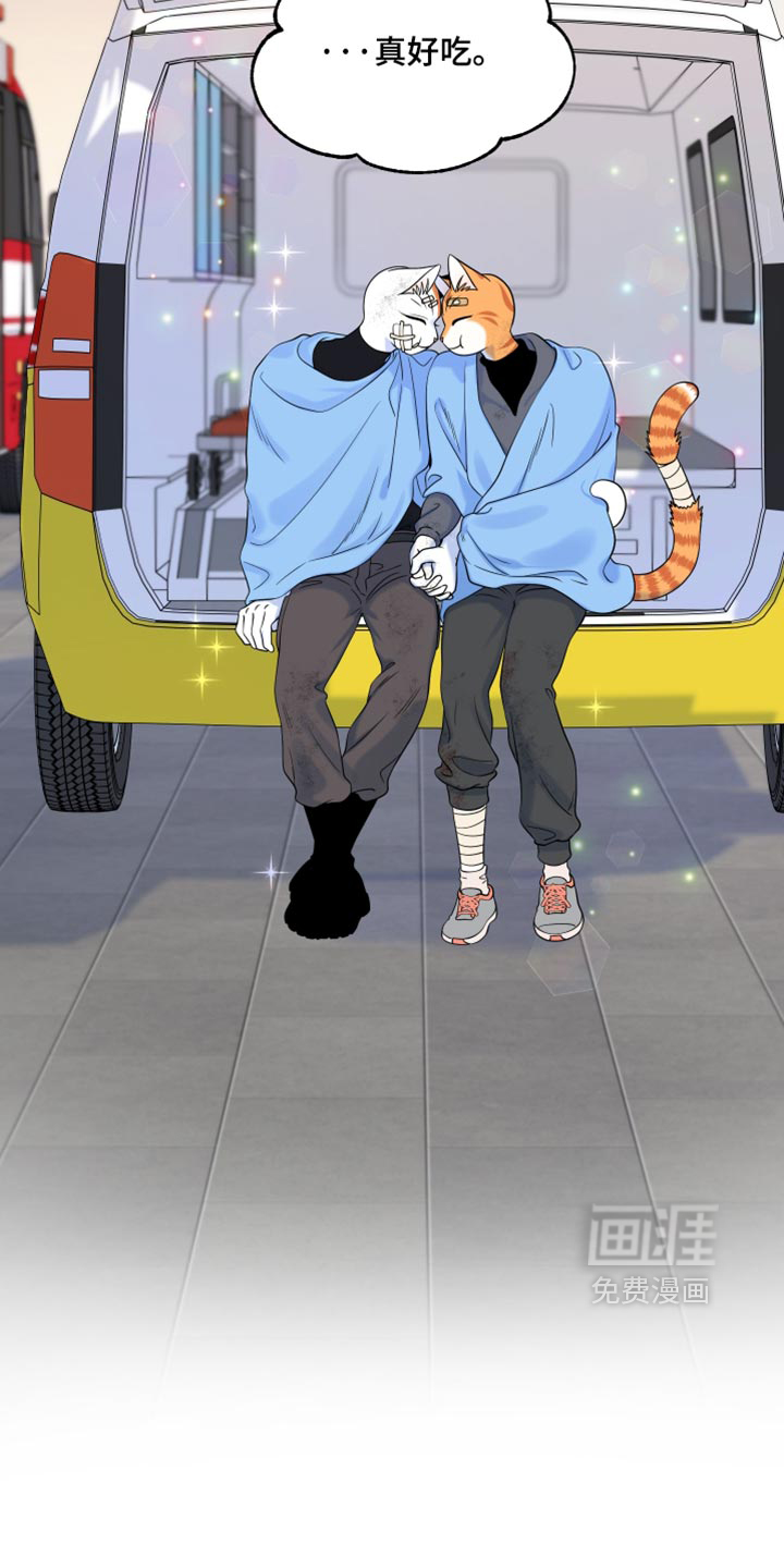第217话4