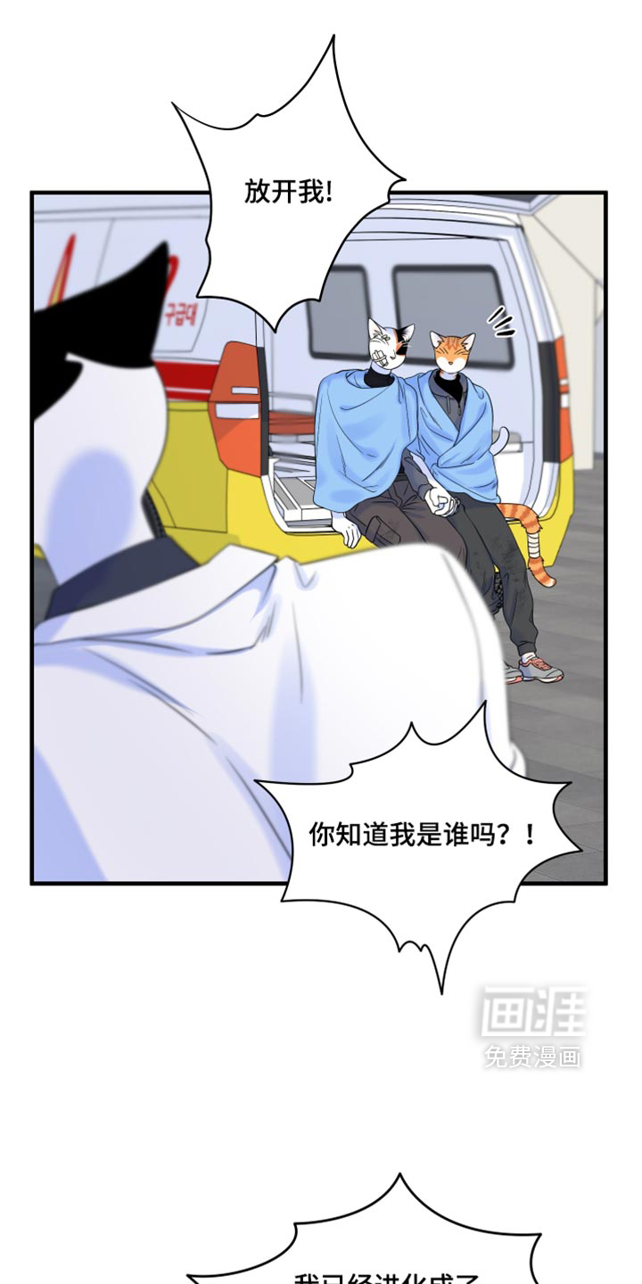 第217话5