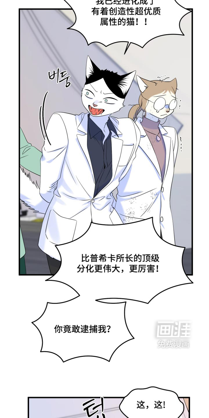 第217话6