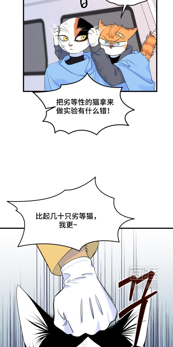第217话7