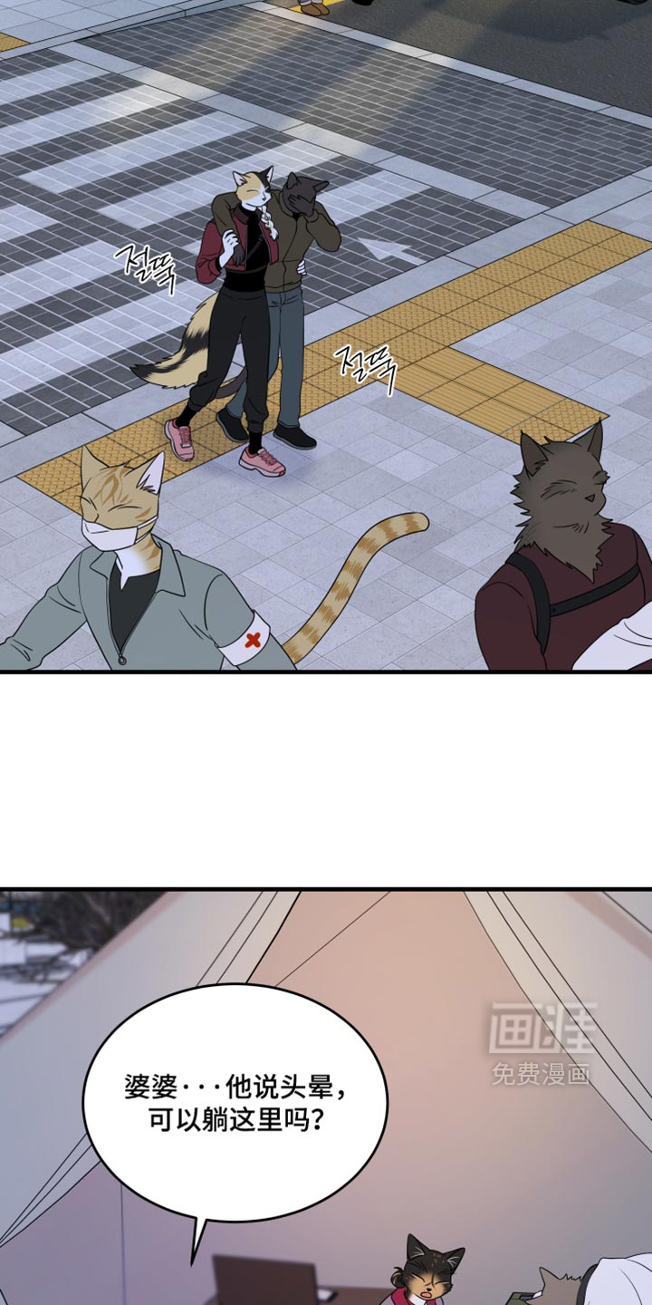 第216话1