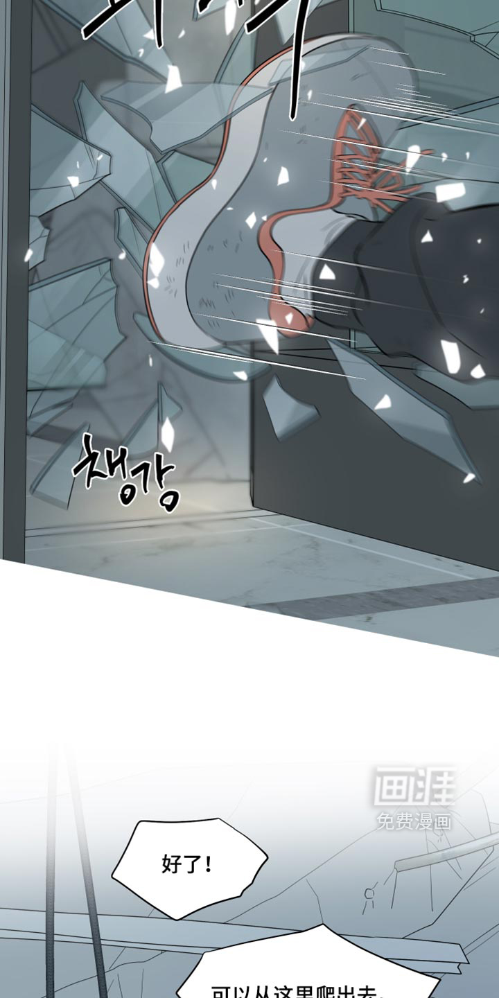 第216话11